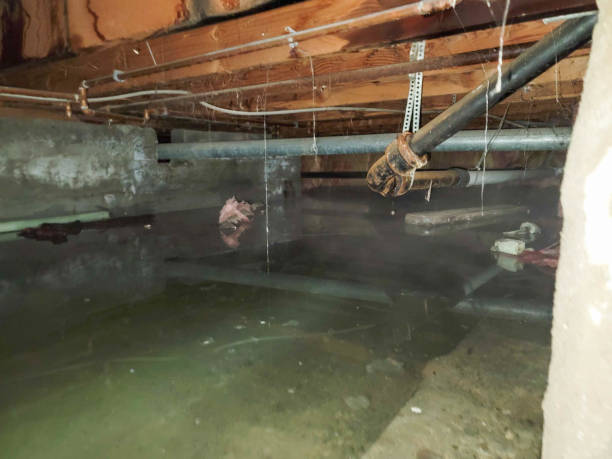 Water damage restoration process in WA