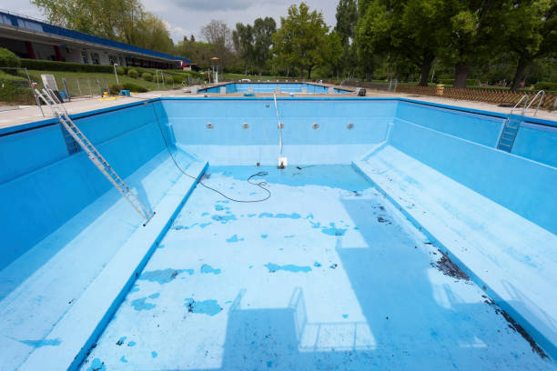 Best Ceiling water damage repair  in Fobes Hill, WA