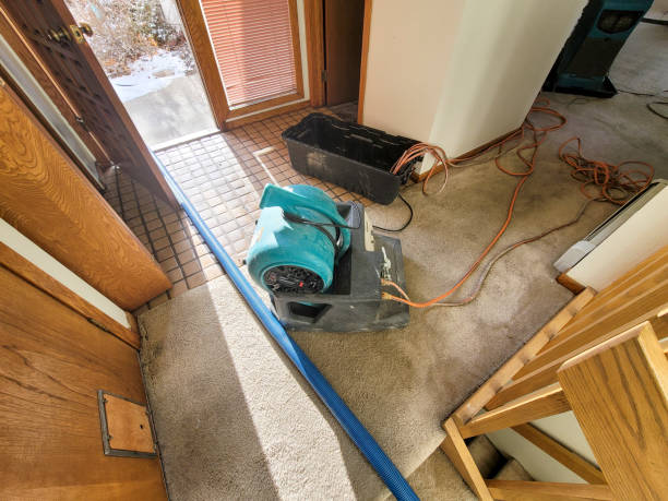 Best Sewage cleanup and water damage restoration  in Fobes Hill, WA