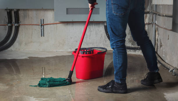 Best 24-hour water damage restoration  in Fobes Hill, WA