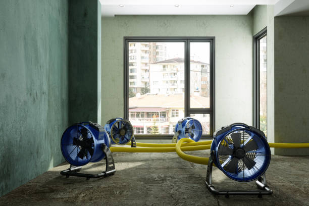 Best Flood restoration services  in Fobes Hill, WA