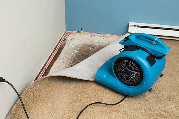  Fobes Hill, WA Water damage restoration Pros